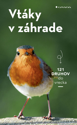 Vt�ky v z�hrade GRADA