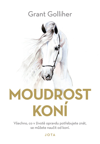 Moudrost kon�