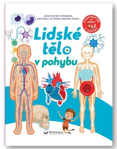 Lidsk� t�lo v pohybu