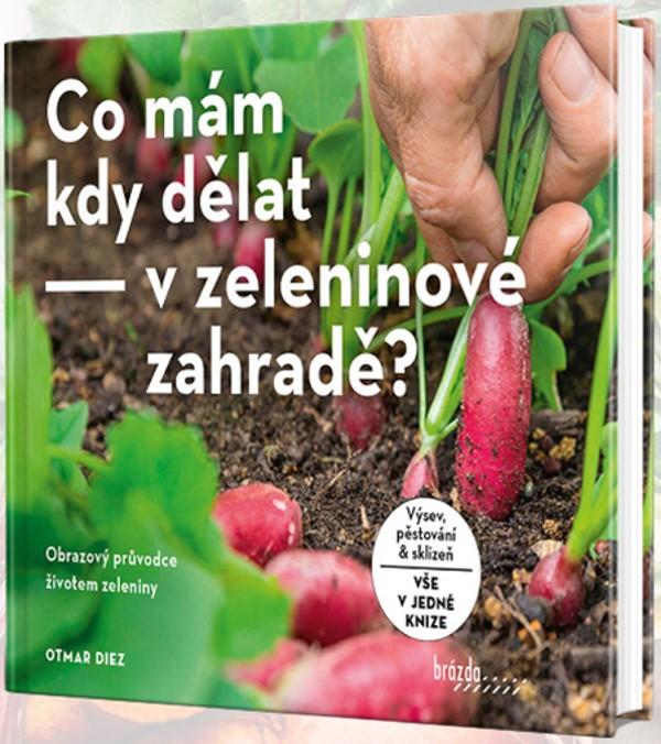 Co m�m kdy d�lat - v zeleninov� zahrad�?