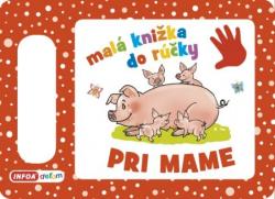 Mal� kni�ka do r��ky - Pri mame (SK vydanie)