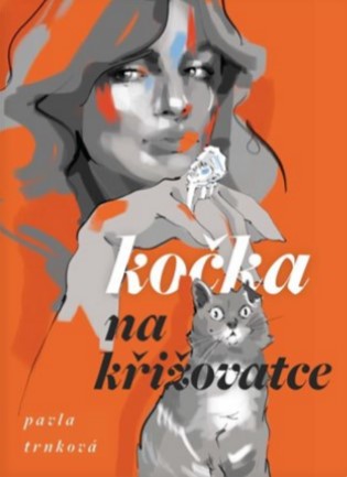 Ko�ka na k�i�ovatce