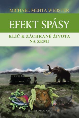Efekt sp�sy