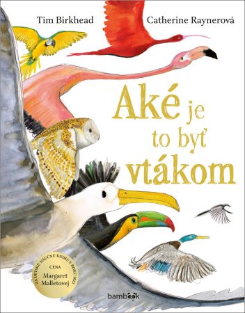 Ak� je to by� vt�kom