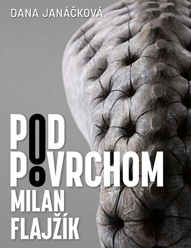 Pod povrchom - Milan Flaj��k