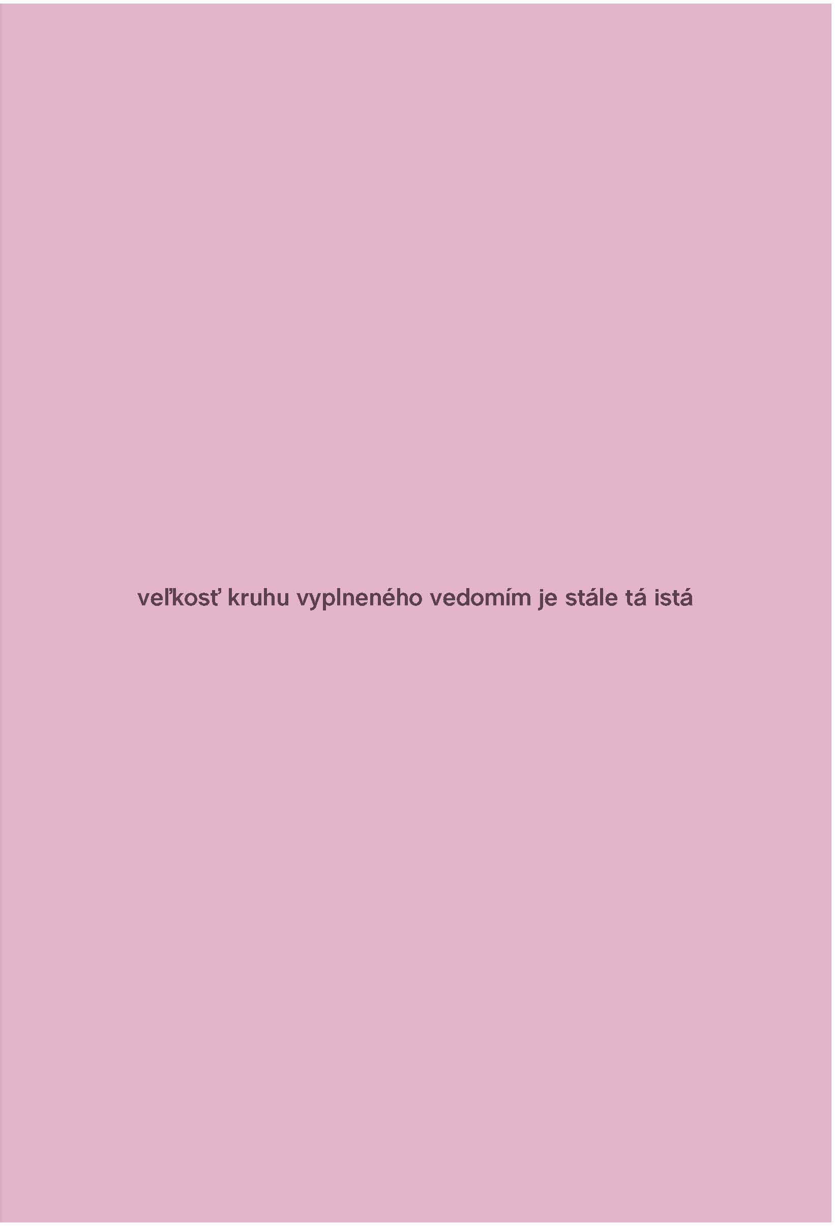 Martin Vongrej. V�ha v�dom� / The Weight of Consciousness