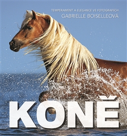 Kon�