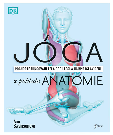 J�ga z pohledu anatomie