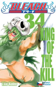 Bleach 34