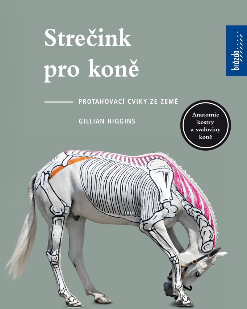 Stre�ink pro kon�