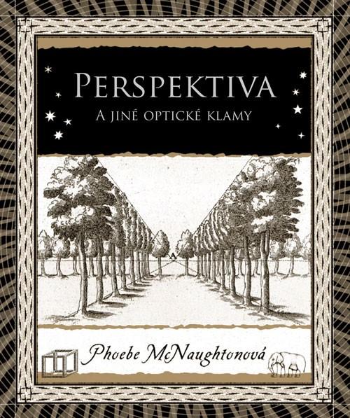 Perspektiva a jin� optick� klamy