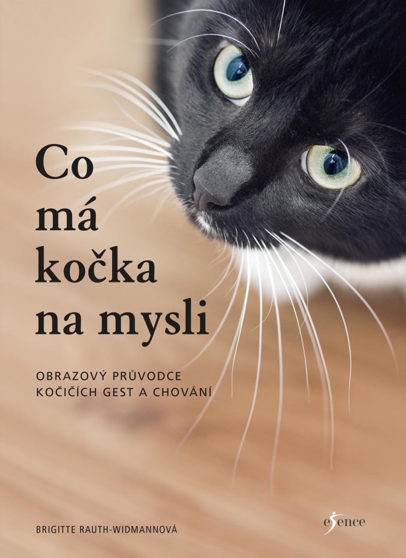 Co m� ko�ka na mysli