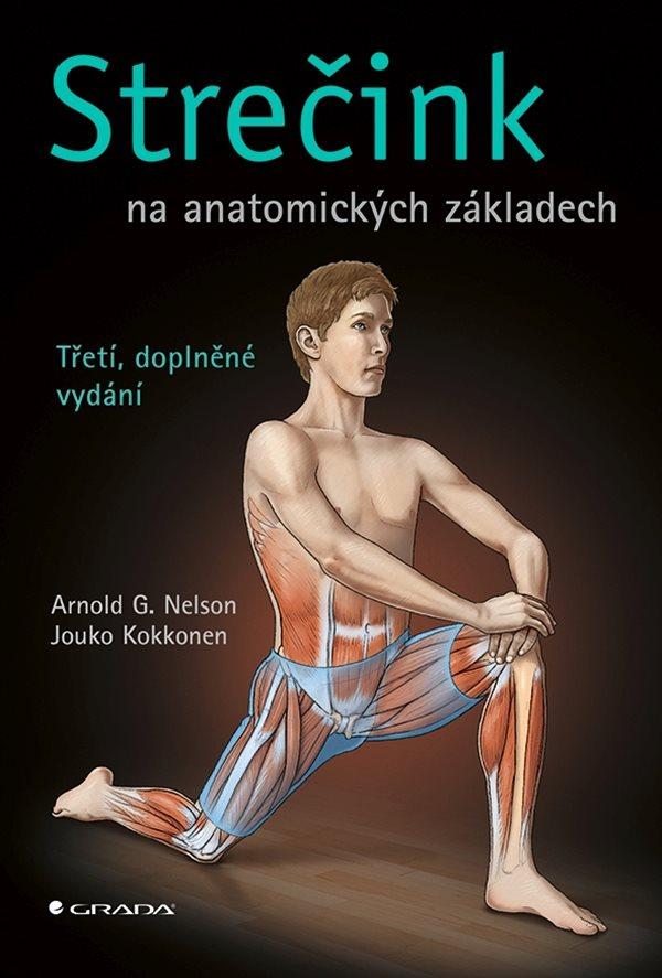 Stre�ink na anatomick�ch z�kladech 3v