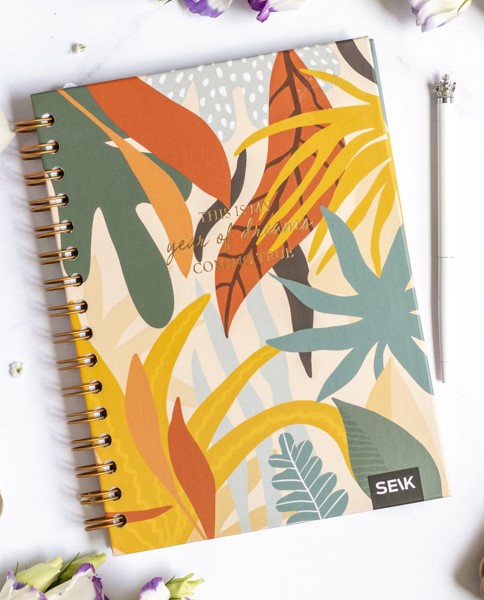 Pl�nova� - Dreams