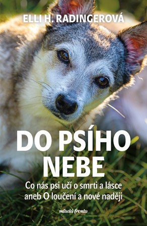 Do ps�ho nebe