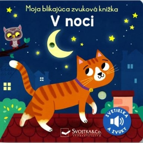 Moja blikaj�ca zvukov� kni�ka V noci