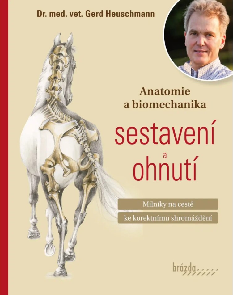 Anatomie a biomechanika sestaven� a ohnut�