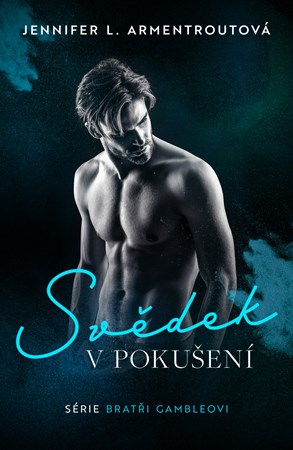 Sv�dek v poku�en�