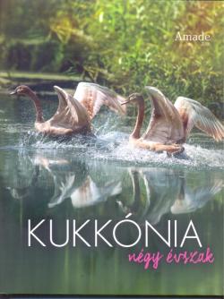 Kukk�nia - N�gy �vszak
