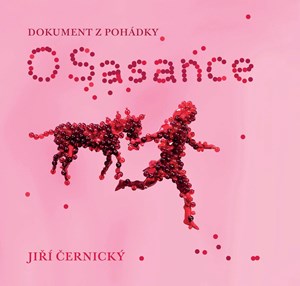 O Sasance - Dokument z poh�dky