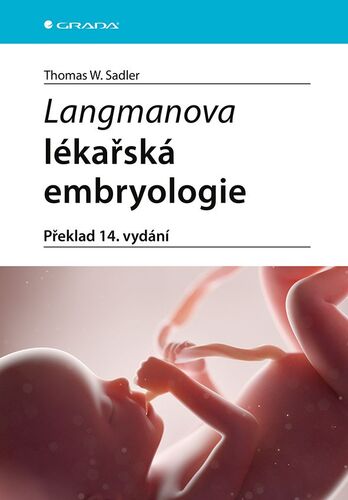 Langmanova l�ka�sk� embryologie 14v