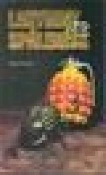 Labyrint zo sp�len�sk