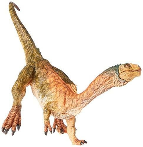 Chilesaurus PAPO