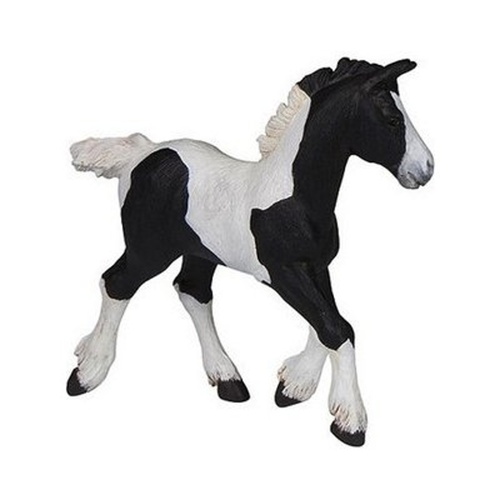 �ern� k�� Cob ml�d� PAPO