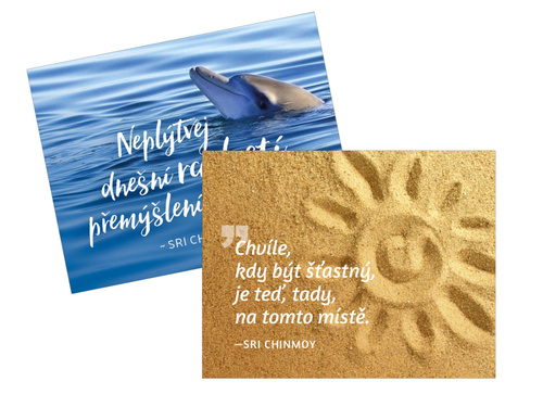 magnety na lednici Chv�le, kdy b�t + Nep