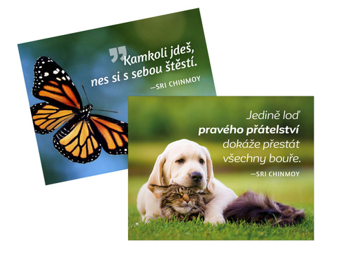 magnety na lednici Kamkoli jde� + Jedin�