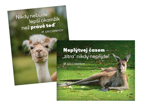 magnety na lednici Nepl�tvej �asem + Nik