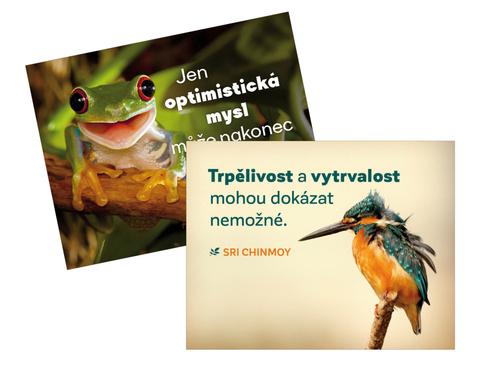 magnety na lednici Trp�livost + Jen opti