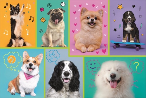 Puzzle V ps�m sv�t� 100 d�lk�