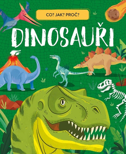 Dinosau�i Co? Jak? Pro�?