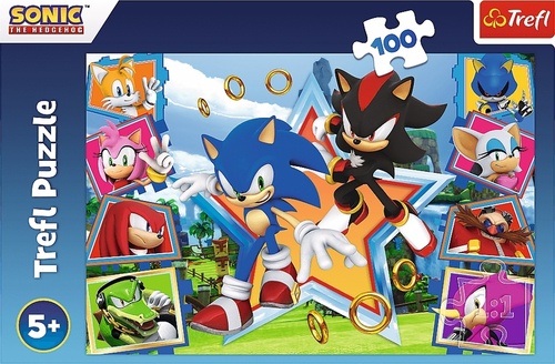 Puzzle Sonic Seznamte se s je�kem 100