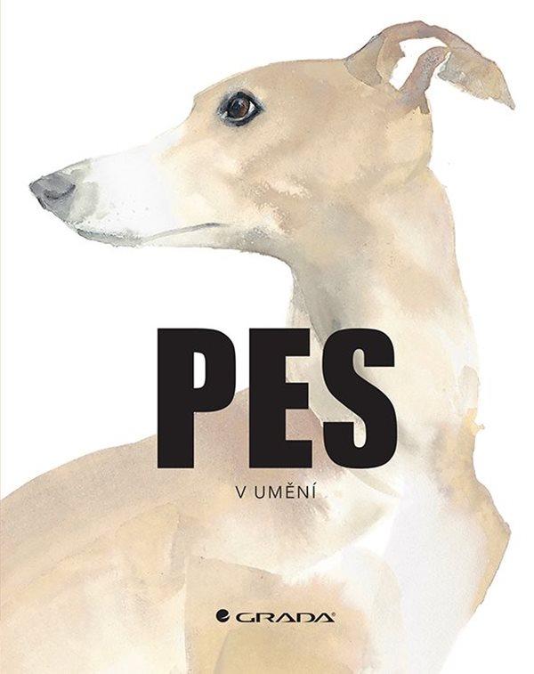 Pes v um�n�