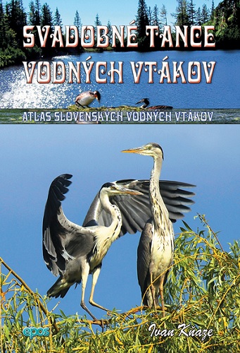 Svadobn� tance vodn�ch vt�kov