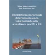 Energetick� n�ro�nost: determinanta zm�n tok� fosiln�ch paliv a implikace pro EU a �R