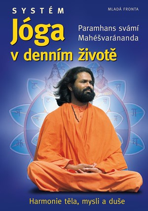 Syst�m J�ga v denn�m �ivot� 