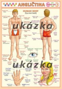 Obr�zkov� angli�tina 3 - �udsk� telo