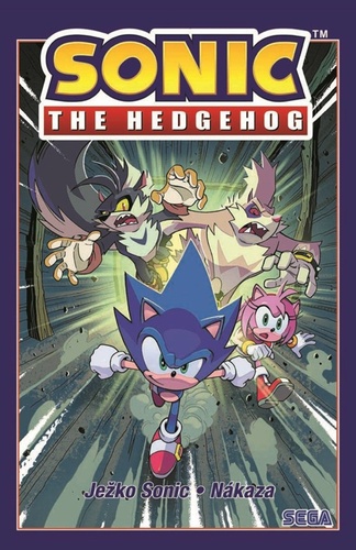 Je�ko Sonic 4 - N�kaza