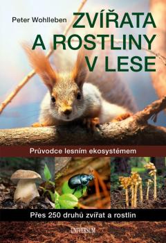 Zv��ata a rostliny v lese
