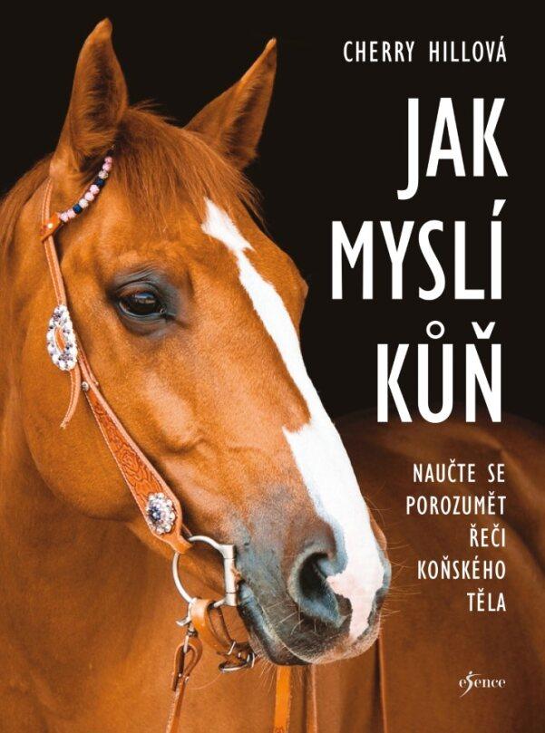 Jak mysl� k��