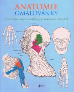 Anatomie omalov�nky