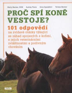 Pro� sp� kon� vestoje?