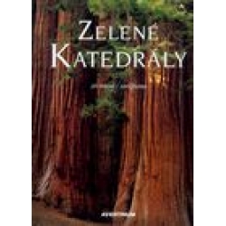 Zelen� katedr�ly