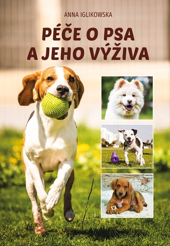 P��e o psa a jeho v��iva