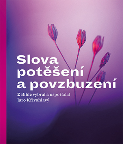 Slova pot�en� a povzbuzen� 2v