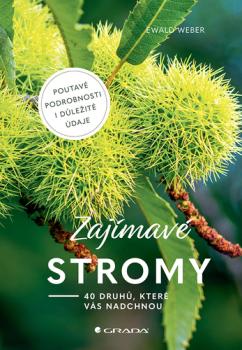 Zaj�mav� stromy