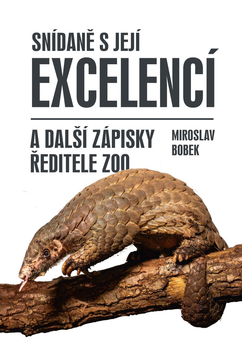 Sn�dan� s jej� excelenc�